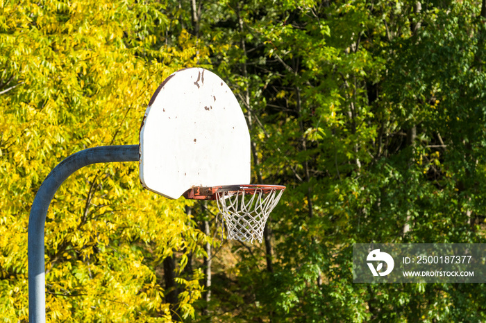 Outdoor basketball hoop with trees in the background