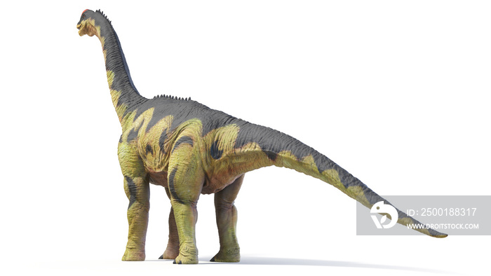 3d rendered dinosaur illustration of the Camarasaurus