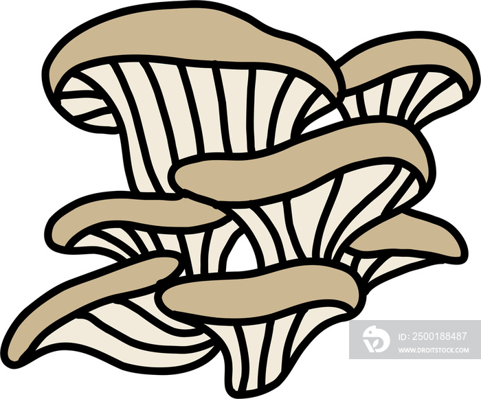 doodle freehand sketch drawing of oyster mushroom vegetable.