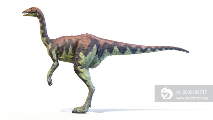 3d rendered dinosaur illustration of the Archaeornithomimus