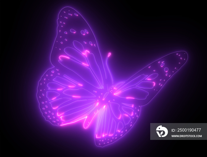 Butterfly Psychedelic Neon Light in black background