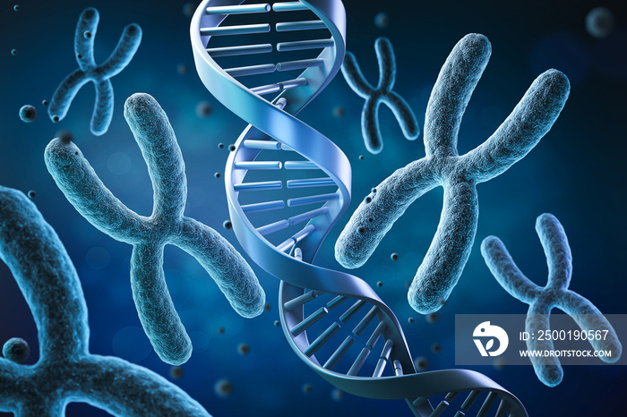 human body X chromosome with DNA background, 3d illustration.