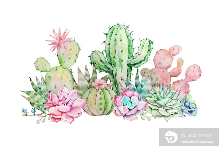 Watercolor illustration Cacti and succulents