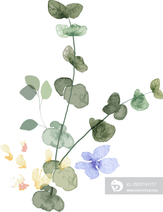 watercolor leaf and flower. Botanical illustration minimal style.