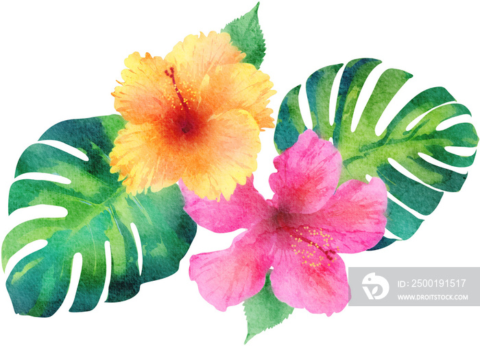 Watercolor Hibiscus Tropical Flower and Monstera Leaf Ornament Illustration