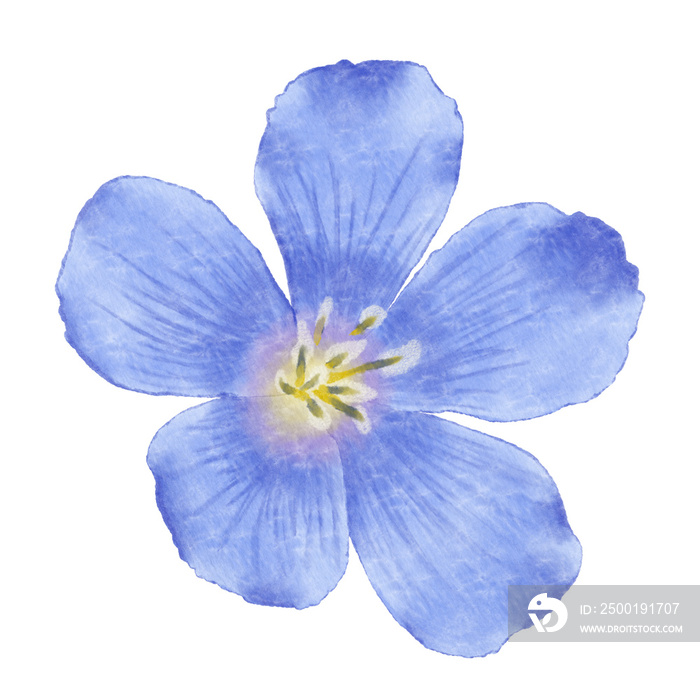 Blue flowers watercolor flax illustration.