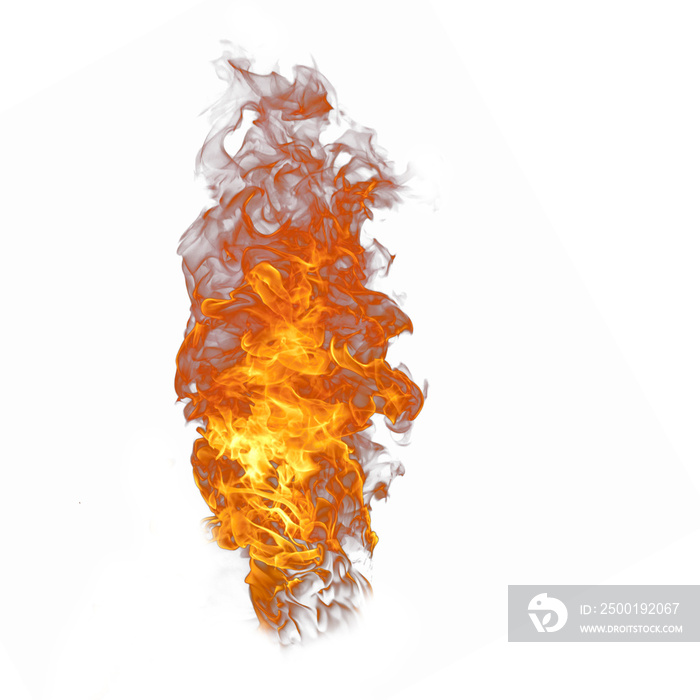 Burning fire flame png isolated on white background