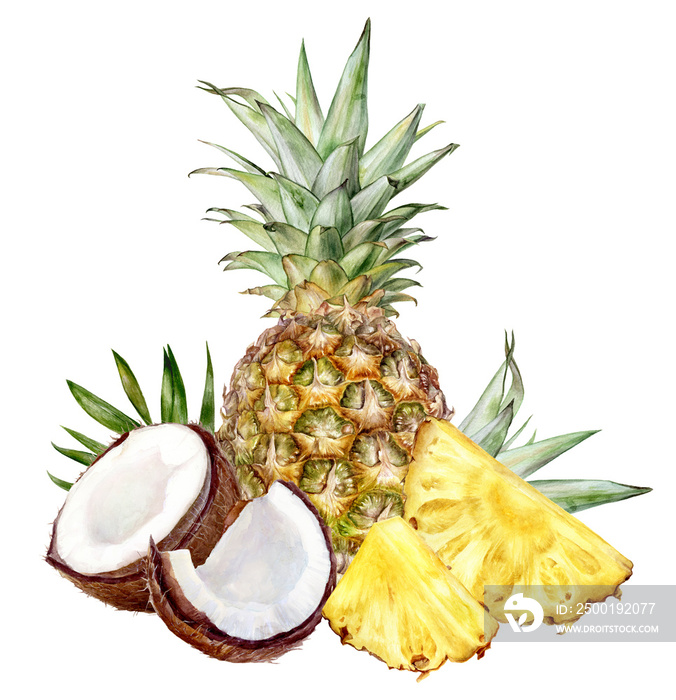 Pineapple coconut composition watercolor illustration isolated on white background