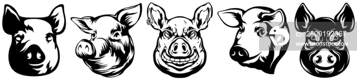 Pig head mascot. Swine logo. Hog illustration set.