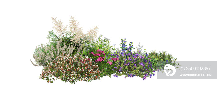 A garden decorated with flowers and small grass on a transparent background.