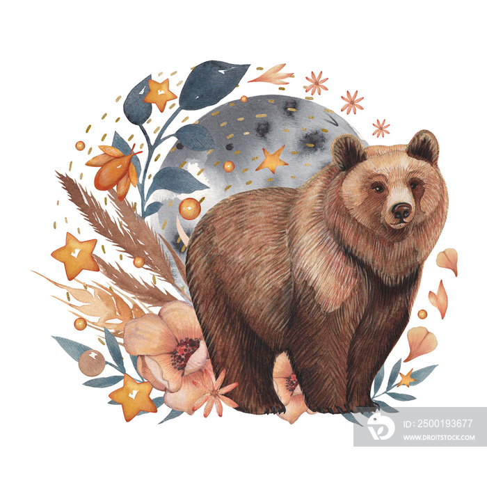 Brown bear in the enchanted forest