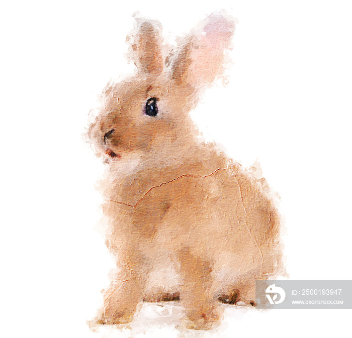 cute watercolor rabbit