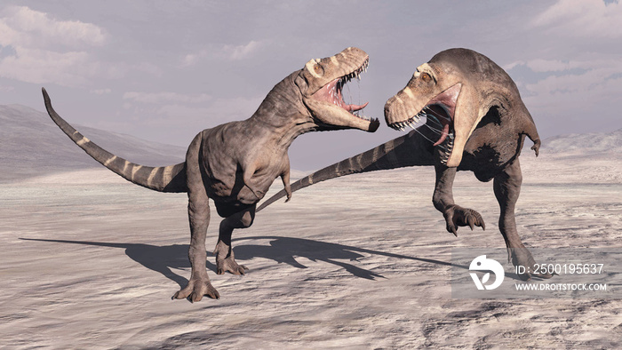 T rex fight