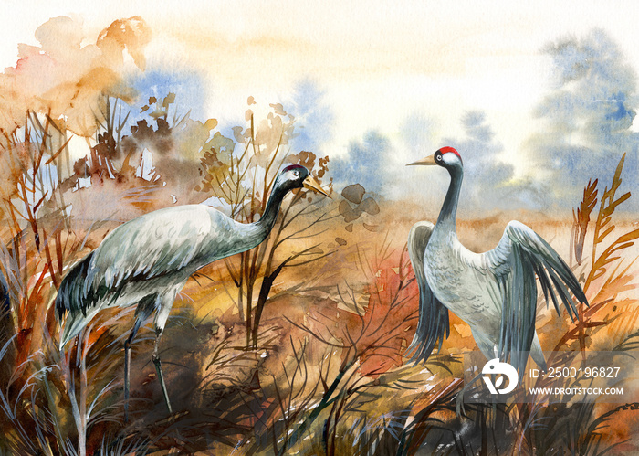 autumn landscape with birds  crane, watercolor illustration