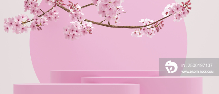 Cherry blossoms on pure white background.pink podium for product presentation.3d rendering illustration