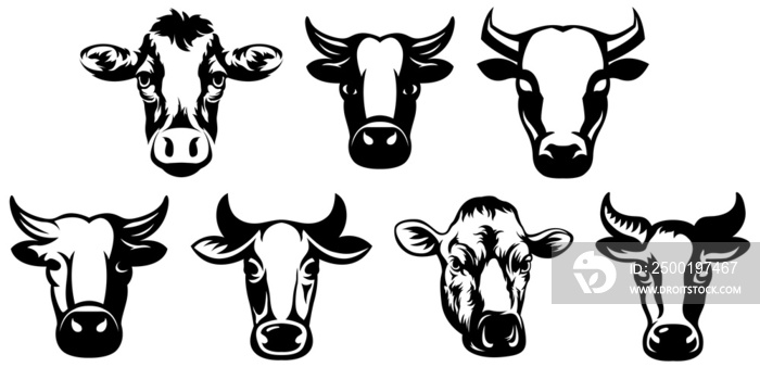 Cow head mascot variant set. Cattle logo. Farm animal illustration.