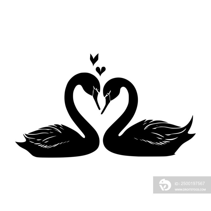 Valentine Swans