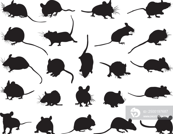 PNG Mice, Mouse, Rodent, Black Silhouettes