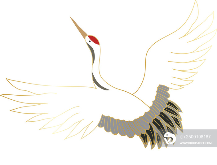 Luxury gold crane bird illustration