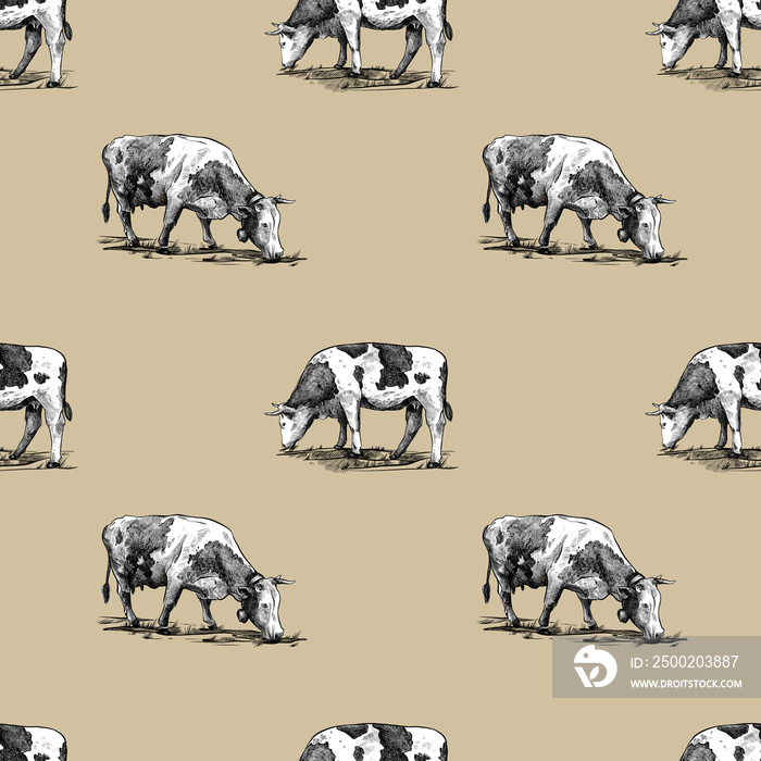 Domestic cows seamless pattern hand drawn in a graphic style. Vintage digital engraving illustration