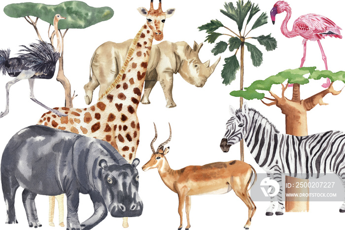 野生动物插图。水彩丛林动物手绘可爱动物。婴儿
