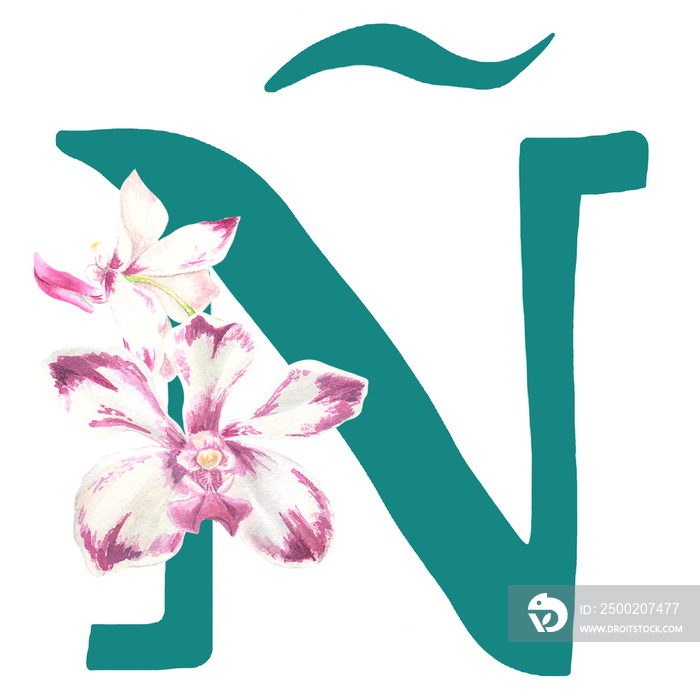 Custom hand drawn vanda orchids alphabet letter Ñ