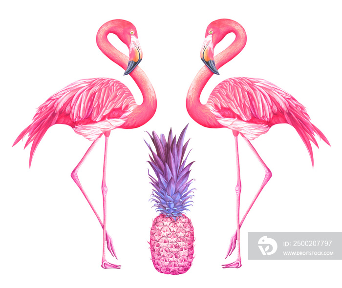 Two flamingos with pink pineapple isolated on white background. Hand drawn watercolor illustration.