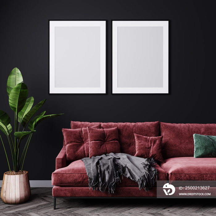 Blank vertical two frames on dark gray wall in modern living room interior with dark red sofa, plant