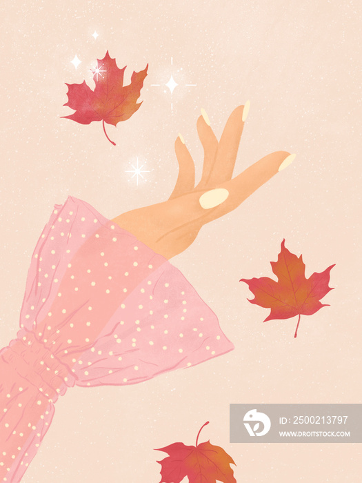 你好，秋天的手，枫叶飘落，星星闪闪发光