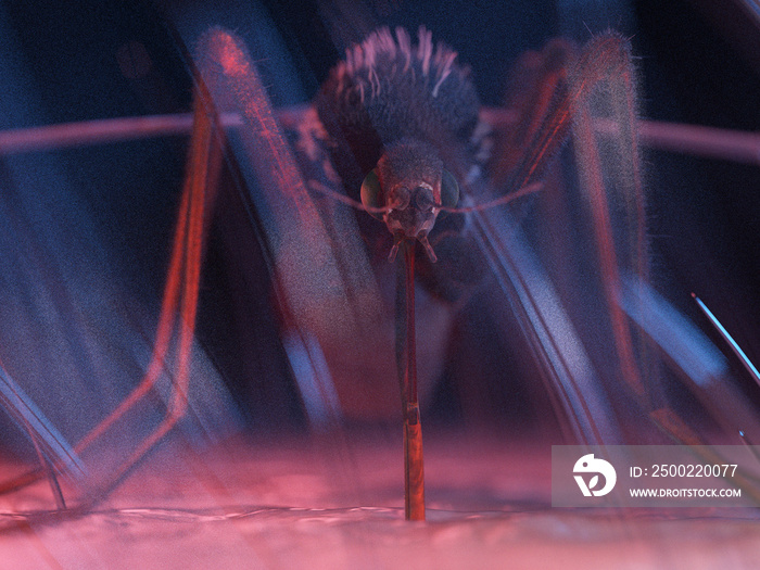 3d rendered medically accurate illustration of a mosquito on human skin