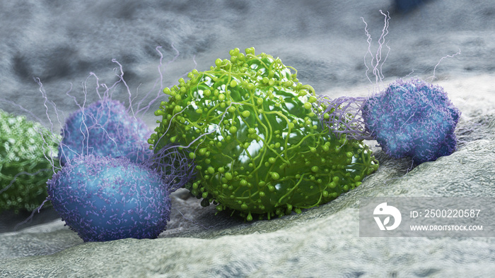 3d rendered medically accurate illustration of a cancer cell being attacked by leukocytes