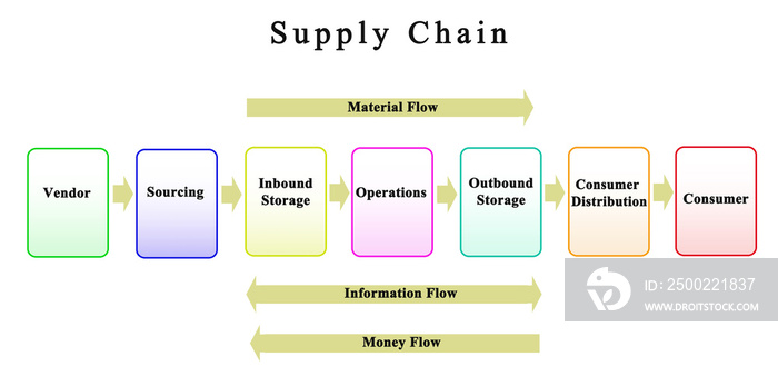 Supply Chain: From Vendor To Customer