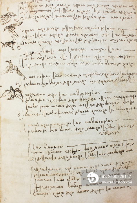 Bird, dove, mechanism of flight in the vintage book Manuscripts of Leonardo da Vinci, Codex on the F