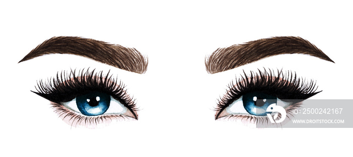 长睫毛的女人眼睛。手绘水彩插图。睫毛和眉毛。设计f