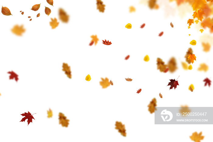 Autumn Set Photo Overlays Falling Leaves, fog, rain, sun, light, Photoshop overlay, png