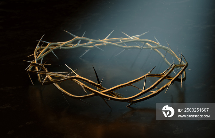 Crown Of Thorns