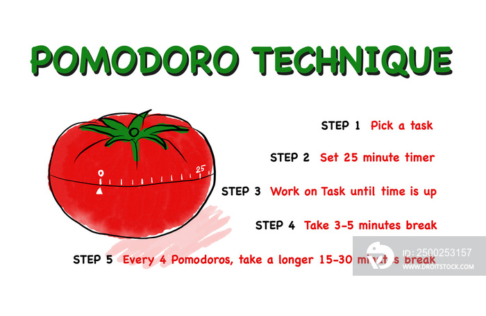 艺术设计白底红番茄pomodoro商业演示的时间管理概念o