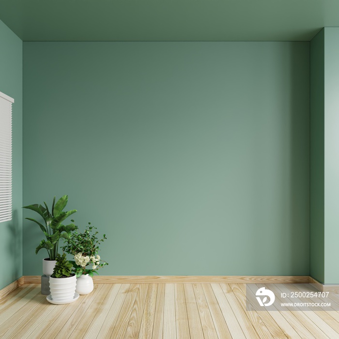 Living room with green walls is empty, decorated with potted plants on the wooden floor.3d rendering