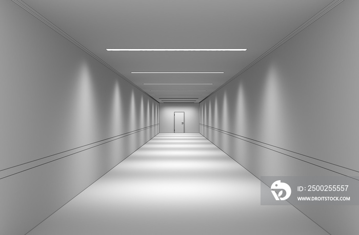 long corridor with doors, interior visualization, 3D illustration