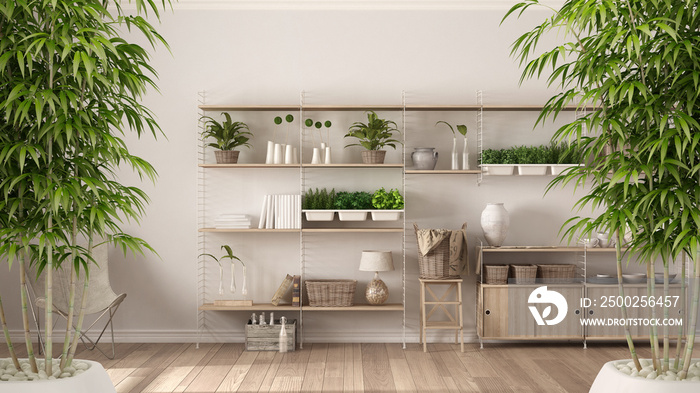 禅意室内，盆栽竹，自然室内设计理念，生态白房，木质b