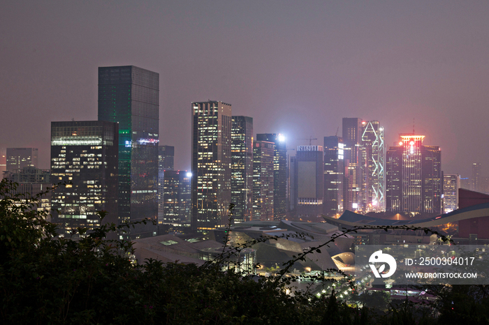 广东省深圳莲花山夜景