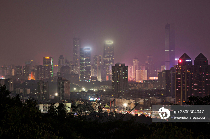 广东省深圳莲花山夜景