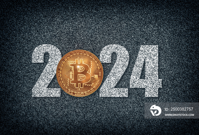 Bitcoin price in year 2024 and cryptocurrency future.