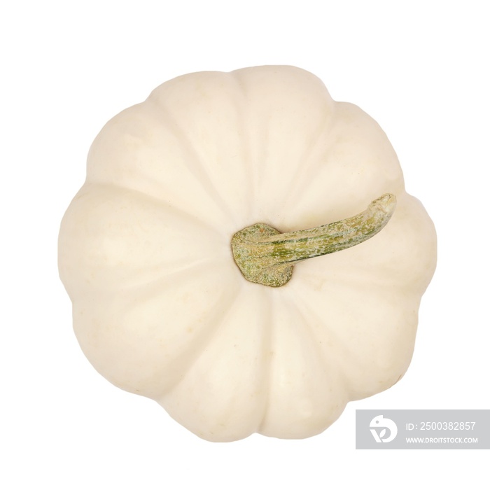 Top view of a single white mini pumpkin isolated on a white background