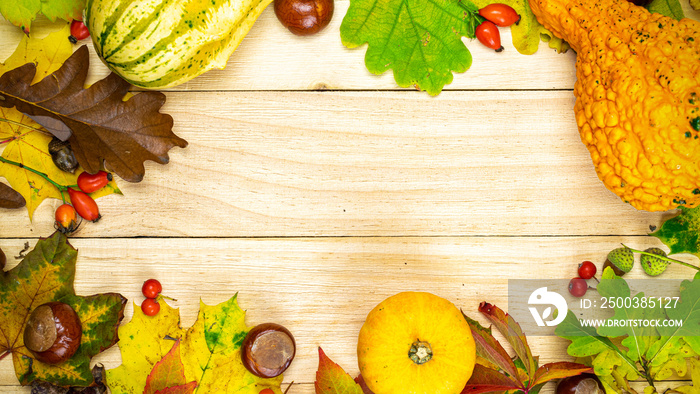 Thanksgiving dinner. Autumn harvest with orange pumpkin, dried leaves, red berries and acorns, chest