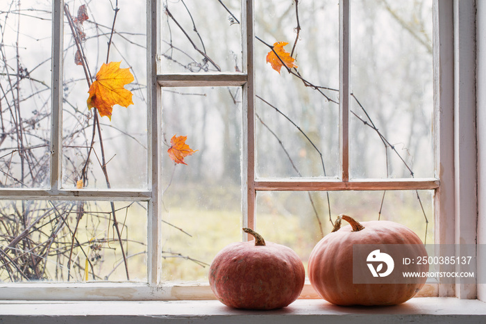 orange pumpkin on windowsill