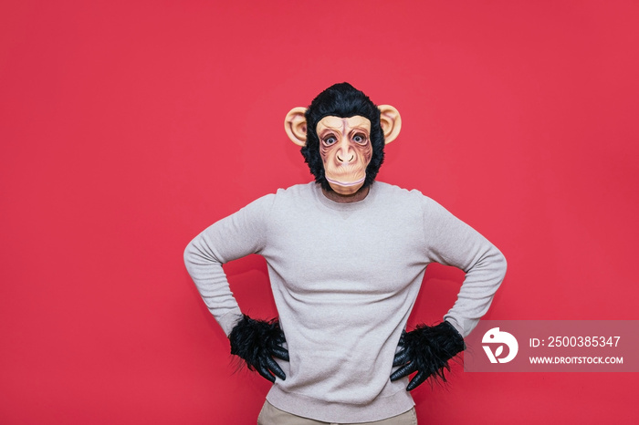 Man in monkey mask gesturing.