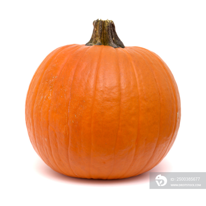 Round orange pumpkin isolated on white background