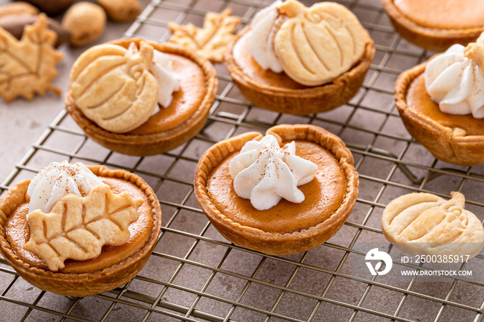 Mini pumpkin pies with wipped cream and cinnamon