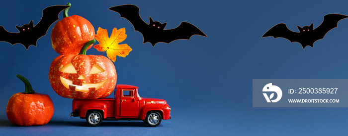 Truck loaded with many beautiful orange pumpkins and bats. Preparing for the scary Halloween holiday